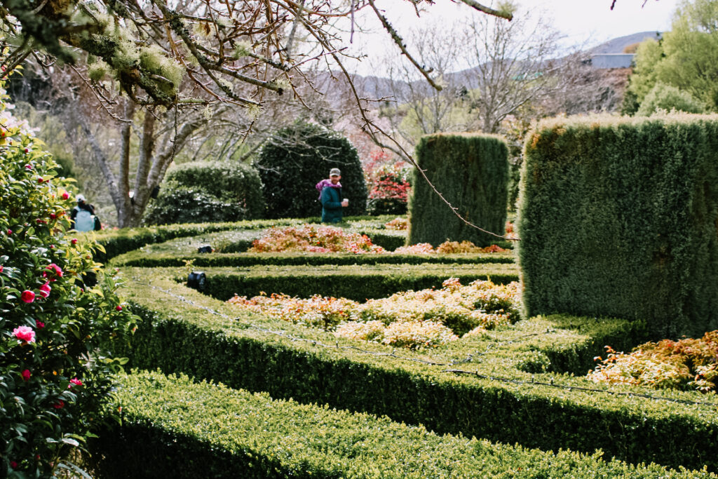 garden maze at the Aston Norwood gardens