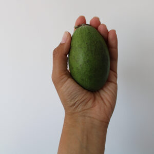 The Unpopular Truth About Feijoa Fruit