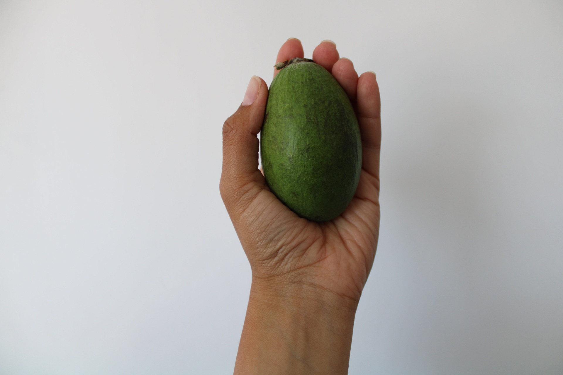 hand holding a green feijoa fruit