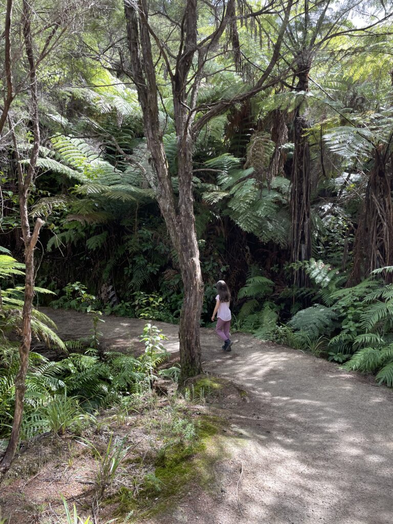 small girl walking ahead on Abel Tasman hike with a walking stick